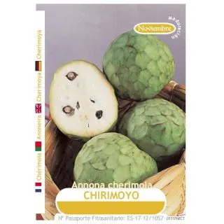 Compra CHIRIMOYO CAMPA en la tienda online Fito Agrícola