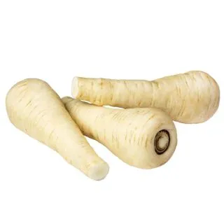 Compra CHIRIVÍA GLADIATOR F1 Sin Tratar (10.000 Semillas). en la tienda online Fito Agrícola