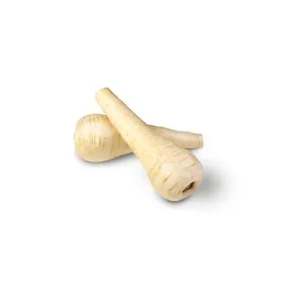 Compra CHIRIVÍA JAVELIN F1 Sin Tratar (10.000 Semillas). en la tienda online Fito Agrícola