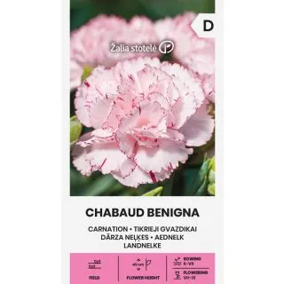 Compra CLAVEL CHABAUD BENIGNA (0,5 gr. - Cerca de 250 Semillas). en la tienda online Fito Agrícola
