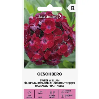Compra CLAVEL DE POETA SWEET WILLIAM OESCHBERG (1 gr. - Cerca de 900 Semillas). en la tienda online Fito Agrícola