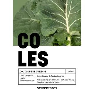 Compra COL BERZA COUBE DE OURENSE (300 Semillas). en la tienda online Fito Agrícola