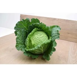 Compra COL CONVOY F1 (2.500 Semillas) en la tienda online Fito Agrícola