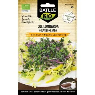 Compra COL ROJA | LOMBARDA MICROGREENS ECOLÓGICA (12 gr.). en la tienda online Fito Agrícola