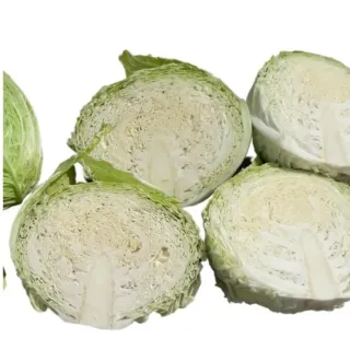 Compra COL VICTORY F1 Sin Tratar (10.000 Semillas) en la tienda online Fito Agrícola