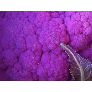 Compra COLIFLOR GRAFFITI F-1 EPS294 en la tienda online Fito Agrícola