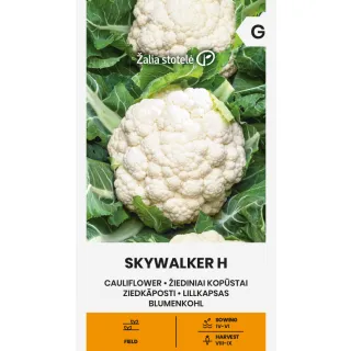 Compra COLIFLOR SKYWALKER F1 Pildorada (20 Semillas) en la tienda online Fito Agrícola