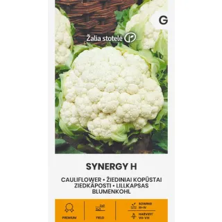 Compra COLIFLOR SYNERGY F1 Pildorada (15 Semillas). en la tienda online Fito Agrícola