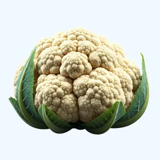 Compra COLIFlOR TYPICAL F-1 (2.500 Semillas). en la tienda online Fito Agrícola