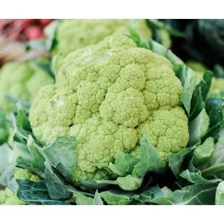 Compra COLIFLOR VERDE MS12 en la tienda online Fito Agrícola