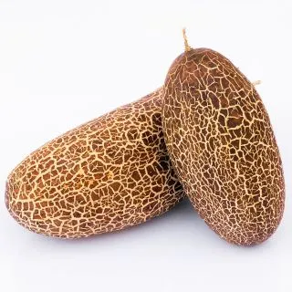 Compra PEPINO DE NEPAL AB (15 Semillas). en la tienda online Fito Agrícola