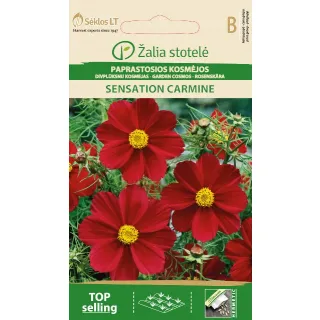 Compra COSMOS SENSATION CARMÍN (1 gr. - Cerca de 135 Semillas). en la tienda online Fito Agrícola