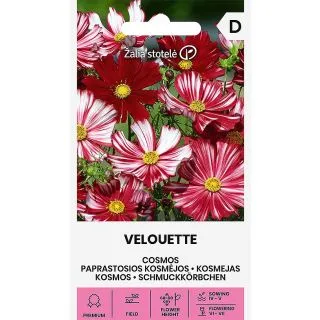 Compra COSMOS VELOUETTE (0,2 gr. - Cerca de 28 Semillas) en la tienda online Fito Agrícola