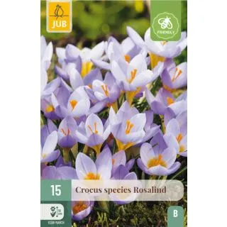 Compra CROCUS ETRUSCUS ROSALIND en la tienda online Fito Agrícola