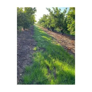 Compra CUBIERTA VEGETAL CÍTRICOS PLUS (15 Kgr.) en la tienda online Fito Agrícola