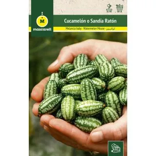 Compra CUCAMELÓN (100 gr.) en la tienda online Fito Agrícola