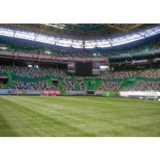 Compra CYNODON DACTYLON MEDPRO SLT Pildorado (10 Kgr.). en la tienda online Fito Agrícola