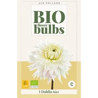 Compra DALIA KIEV BIO en la tienda online Fito Agrícola