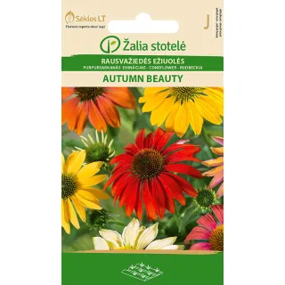 Compra ECHINÁCEA AUTUMN BEAUTY MIX (1 gr. - Cerca de 175 Semillas). en la tienda online Fito Agrícola