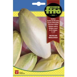 Compra ENDIBIA MECHELSEN MIDDLEVROEF (8 gr.). en la tienda online Fito Agrícola