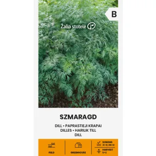 Compra ENELDO SZMARAGD (5 gr. - Cerca de 2950 Semillas). en la tienda online Fito Agrícola