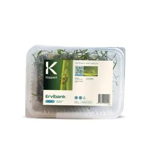 Compra ERVIBANK (Caja 3 l.) en la tienda online Fito Agrícola