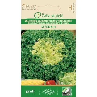 Compra ESCAROLA RIZADA MYRNA F1 Pildorada (20 Semillas) en la tienda online Fito Agrícola