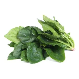 Compra ESPINACA ARTEMIS F1 (50.000 Semillas). en la tienda online Fito Agrícola