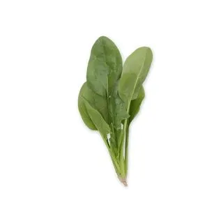 Compra ESPINACA GREBE RZ F1 Precisión (1.000.000 Semillas). en la tienda online Fito Agrícola