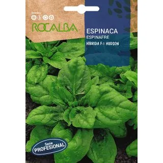 Compra ESPINACA HUDSON F-1 BABY LEAF (10 gr.). en la tienda online Fito Agrícola