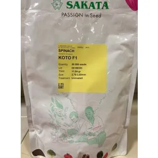 Compra ESPINACA KOTO F1 (50.000 Semillas) en la tienda online Fito Agrícola