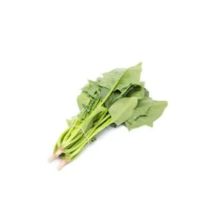 Compra ESPINACA SHRIKE RZ F1 (25.000 Semillas). en la tienda online Fito Agrícola