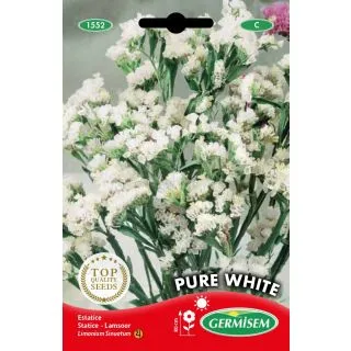 Compra ESTATICE PURE WHITE (10 gr.). en la tienda online Fito Agrícola