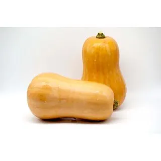 Compra CALABAZA ESTRELLA F1 (1000 Semillas). en la tienda online Fito Agrícola