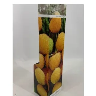 Compra FRAMBUESO AMARILLO (1 Unid.). en la tienda online Fito Agrícola