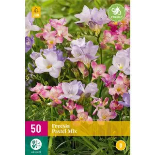 Compra FREESIA PASTEL MIX XXL en la tienda online Fito Agrícola