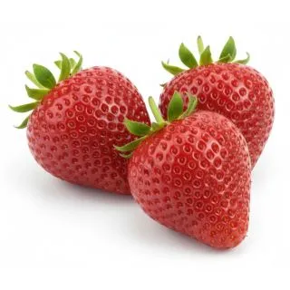 Compra FRESA CHARLOTTE M11 en la tienda online Fito Agrícola