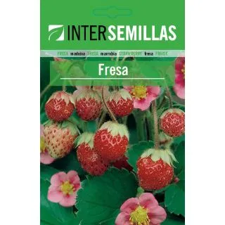 Compra FRESA REGINA (100 gr.). en la tienda online Fito Agrícola