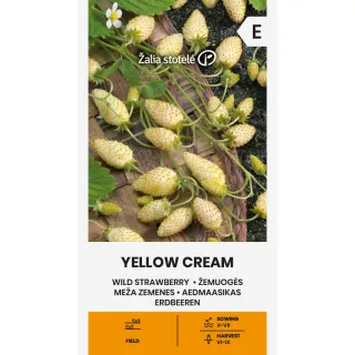 Compra FRESA SILVESTRE YELLOW CREAM (0,1 gr. - Cerca de 200 Semillas). en la tienda online Fito Agrícola