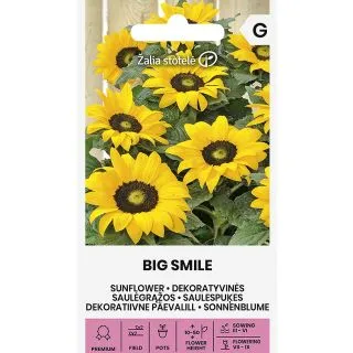 Compra GIRASOL BIG SMILE (20 Semillas). en la tienda online Fito Agrícola