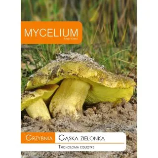Compra MICELIO GANSO VERDE Tricholoma equestre (10 gr.). en la tienda online Fito Agrícola