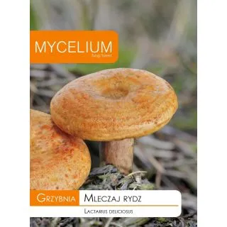 Compra MICELIO DE NÍSCALO (Lactarius deliciosus) (10 gr.). en la tienda online Fito Agrícola