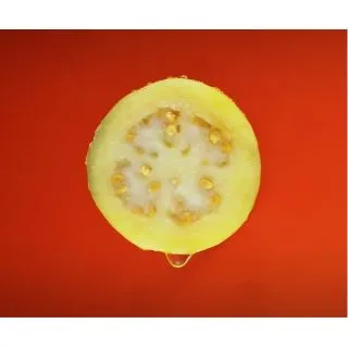 Compra GUAYABA LIMÓN en la tienda online Fito Agrícola