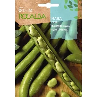 Compra HABA MUCHAMIEL EXTRATEMPRANA (1 Kgr.). en la tienda online Fito Agrícola