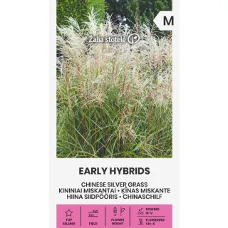 Compra HIERBA PLATEADA CHINA (0,1 gr. - Cerca de 110 Semillas). en la tienda online Fito Agrícola