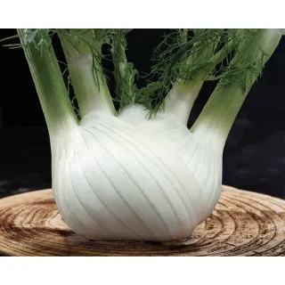 Compra HINOJO DIAMANTE F1 Pildorada (10.000 Semillas) en la tienda online Fito Agrícola