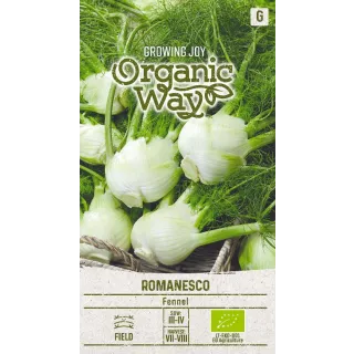 Compra HINOJO ROMANESCO ECOLÓGICO (0,5 gr. - Cerca de 125 Semillas). en la tienda online Fito Agrícola