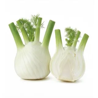 Compra HINOJO WADENROMEN (50 gr.). en la tienda online Fito Agrícola