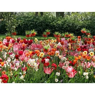 Compra HOT & COLD (100 Unid.). en la tienda online Fito Agrícola