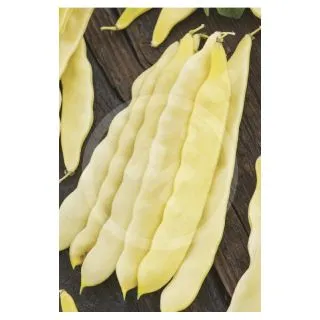 Compra JUDIA CAPITANO (1 Kgr.). en la tienda online Fito Agrícola